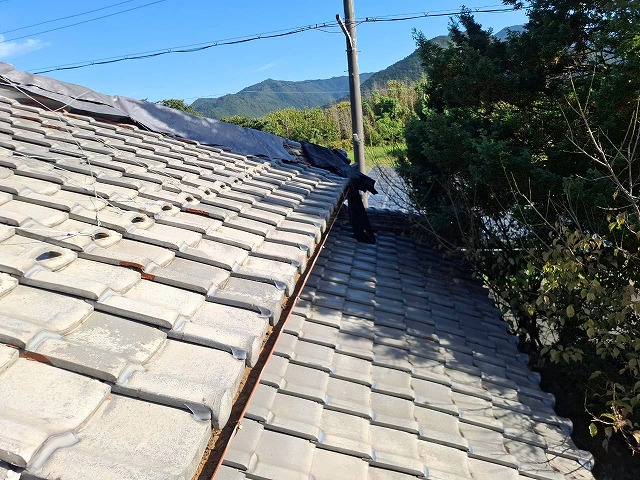 屋根全体の劣化状況