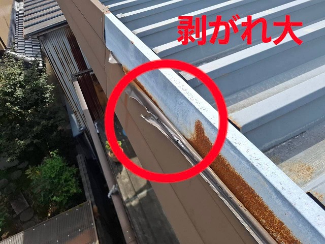 鼻隠しの大きな剥がれ