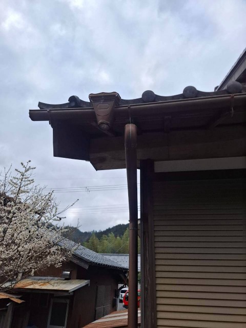 雨樋　破損　ズレ