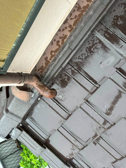 這樋