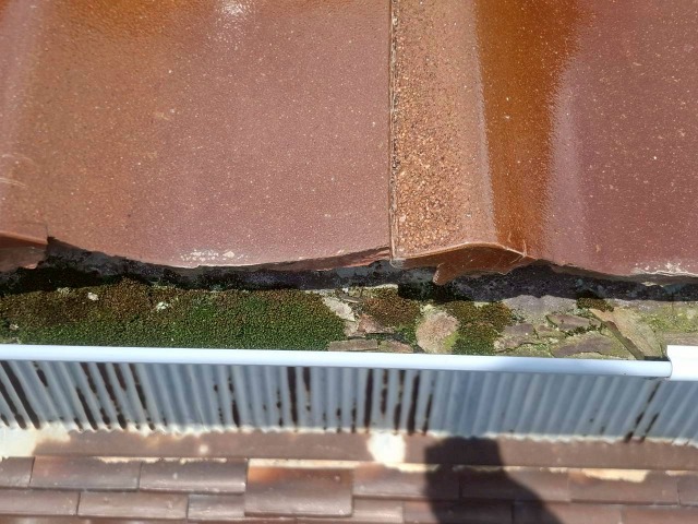 雨樋詰まり