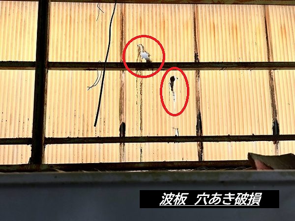 福知山市で台風被害による波板破損を確認したら要注意！火災保険の活用と安全な修理判断のポイント