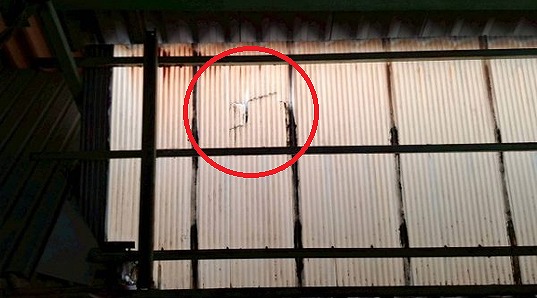 舞鶴市で波板交換を考えるなら要注意！割れ・浮き・留め具の傷みが出た屋根や外構の見極めポイント